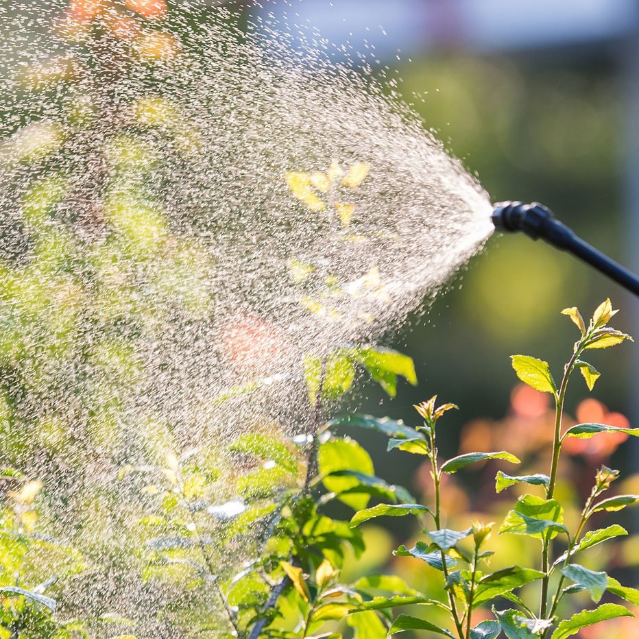 Pest Disease Control