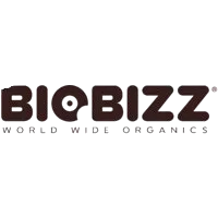 image-removebg-preview