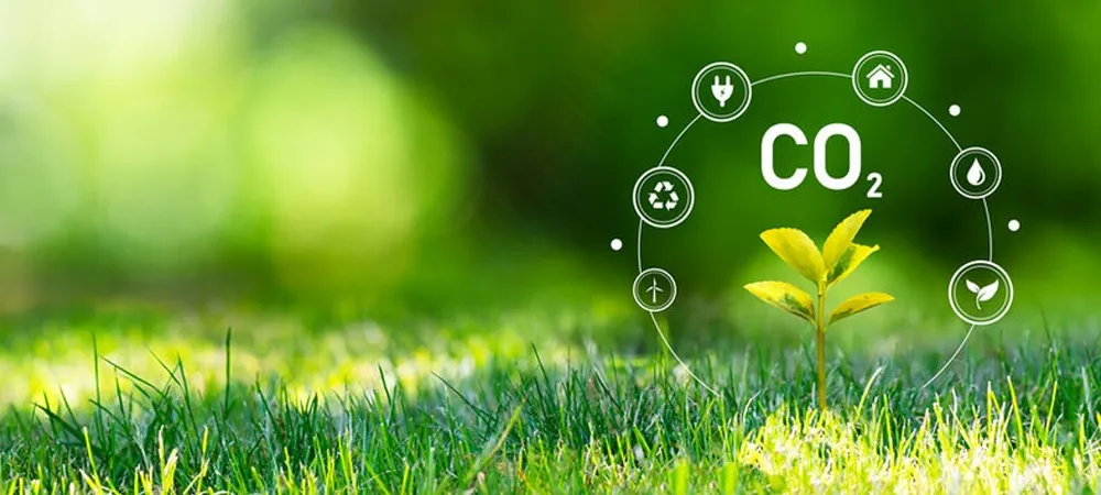 CO2 Supplementation