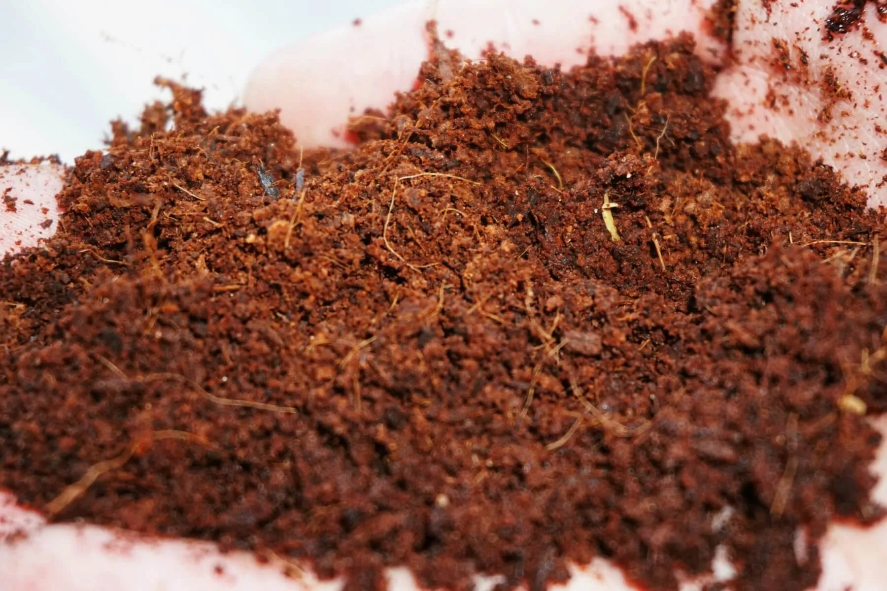 Coco Coir