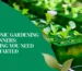 Hydroponic Gardening for Beginners