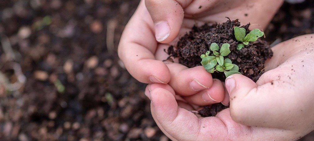 Organic & Soil Mixes