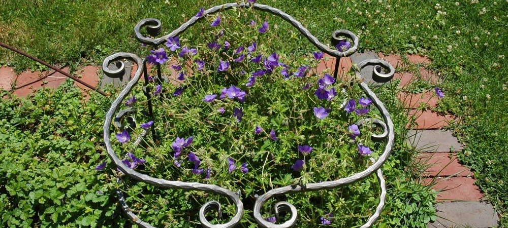 Plant Support