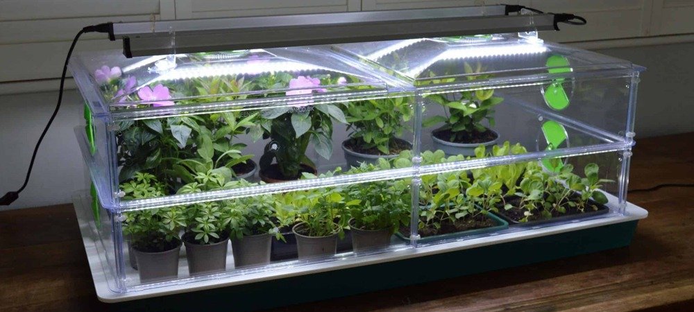 Propagation Grow Lights