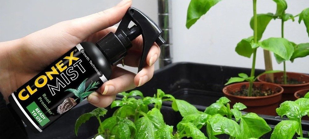 Propagation Nutrients and Cloning Products