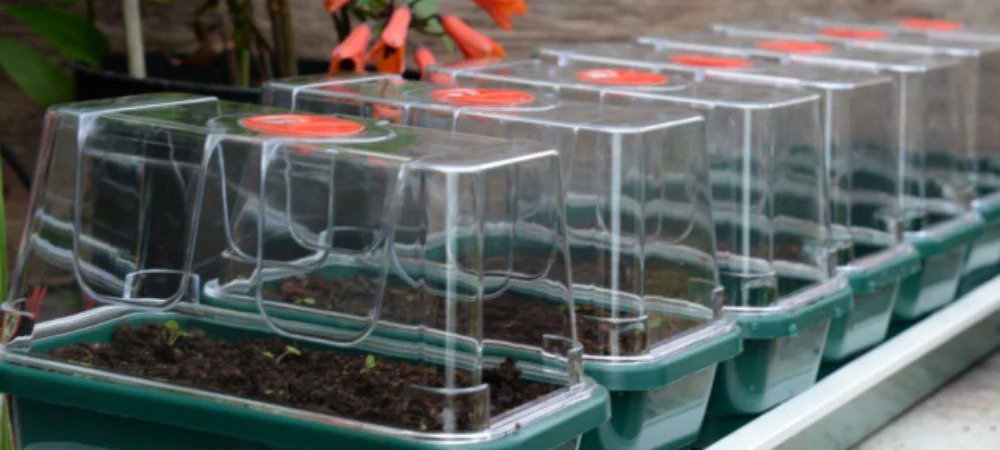 Propagators