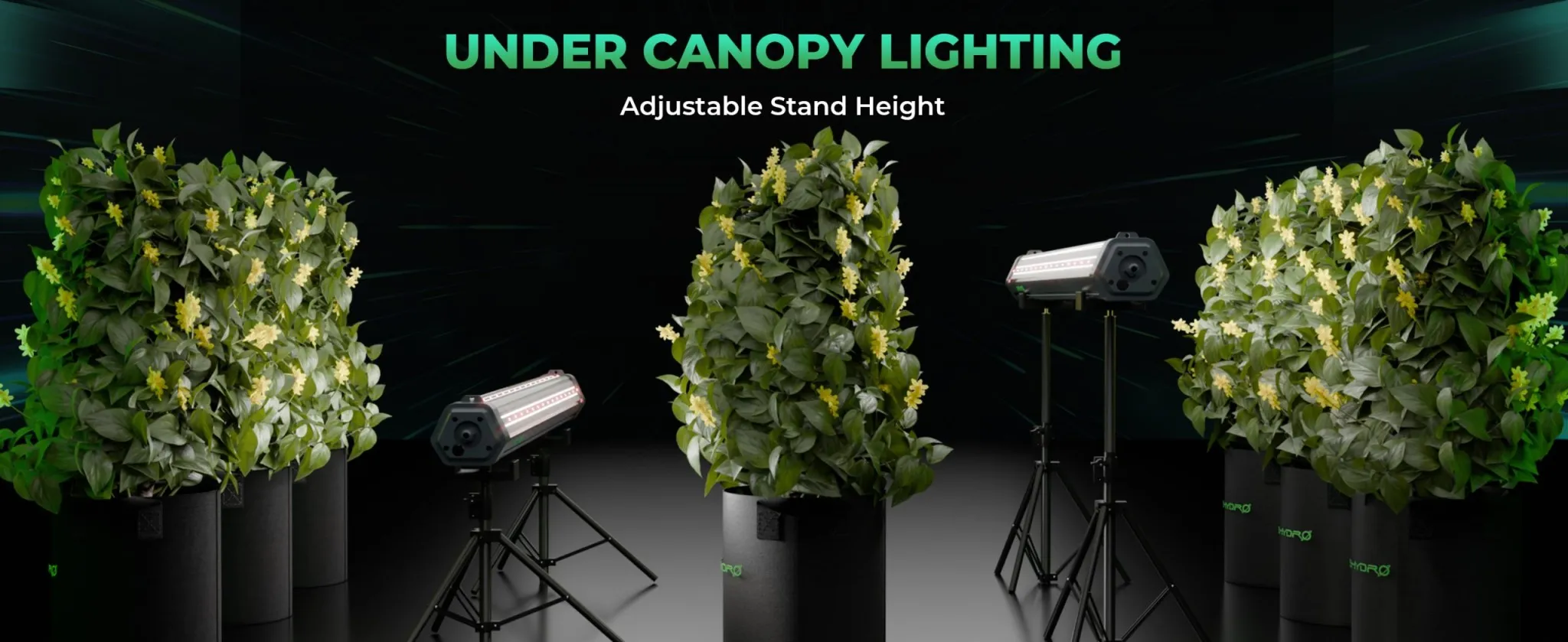 Undercanopy Lighting