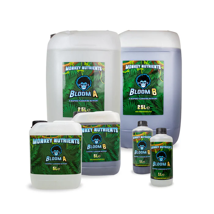 monkey-nutrients-bloom-1