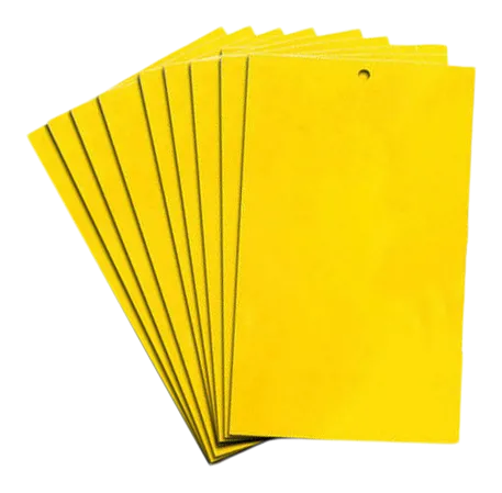 d5e863f1-c9c4-4ec9-be7a-bc8c0b63fc21