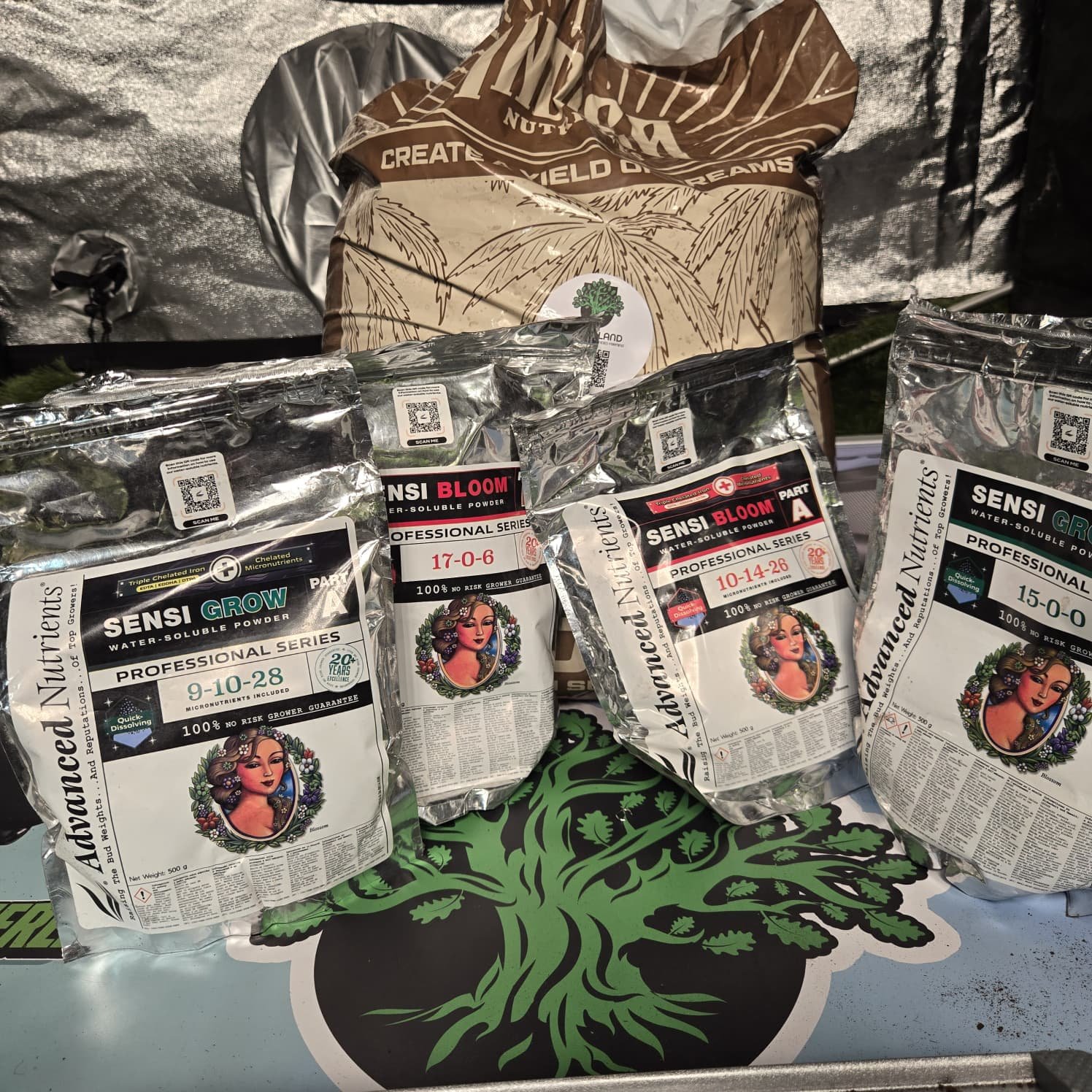 WhatsApp Image 2025-11-13 at 18.55.16_232affdf