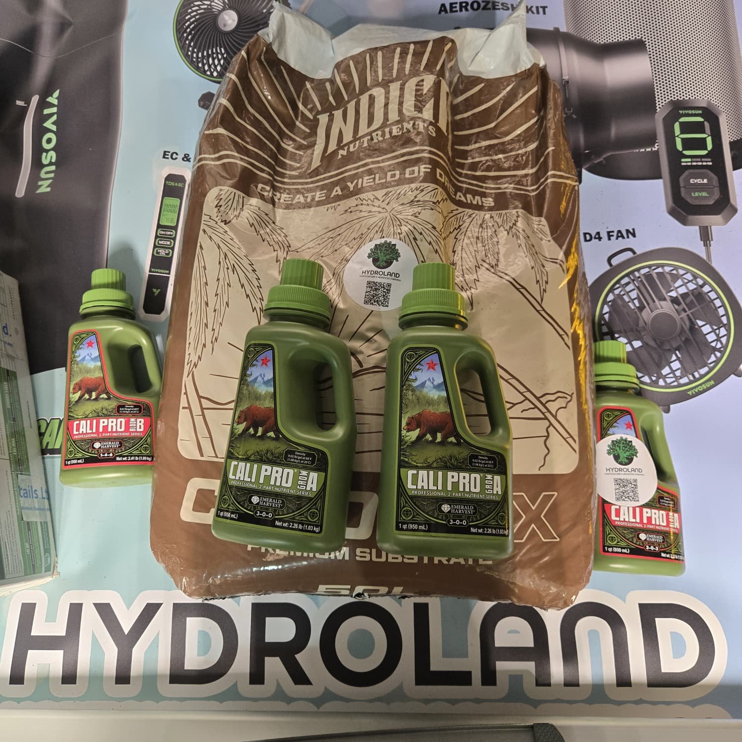 WhatsApp Image 2025-11-13 at 18.55.29_5b679a38