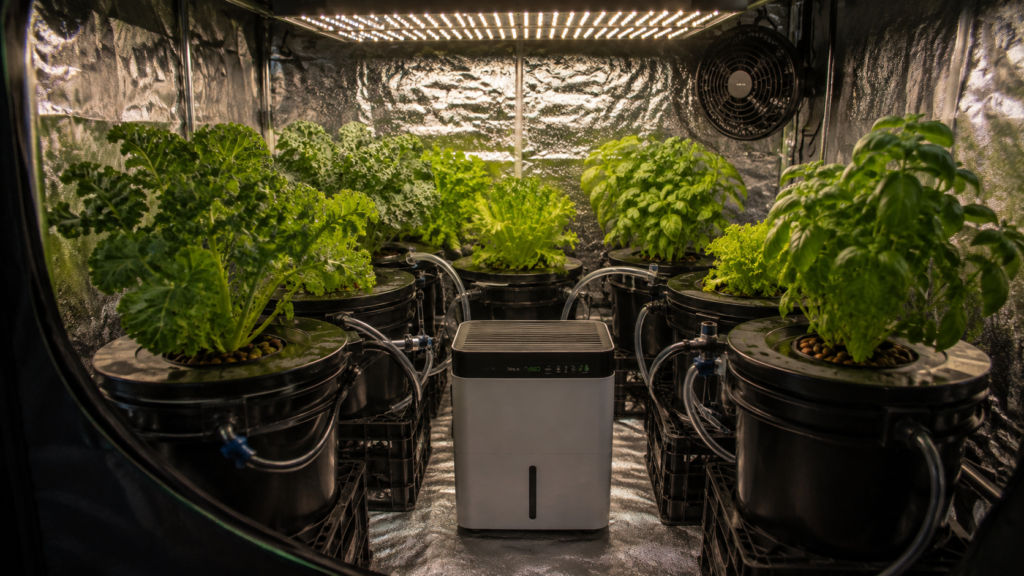 High humidity warning inside grow tent with condensation
