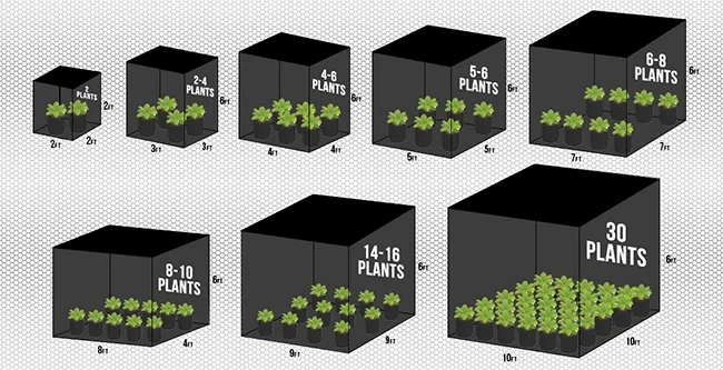 How to Choose the Right Grow Tent Size