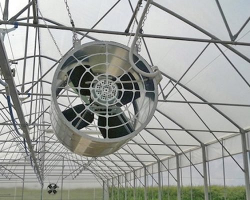 Circulation Fans Web Images