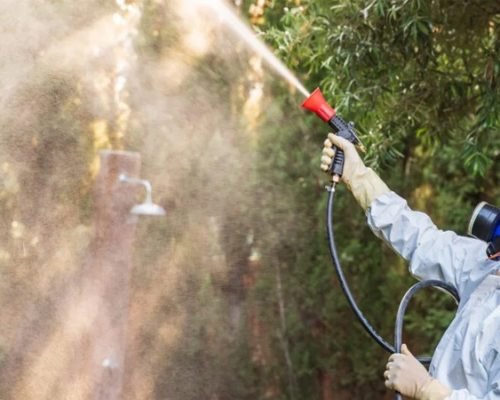 General Pest Control Web Images